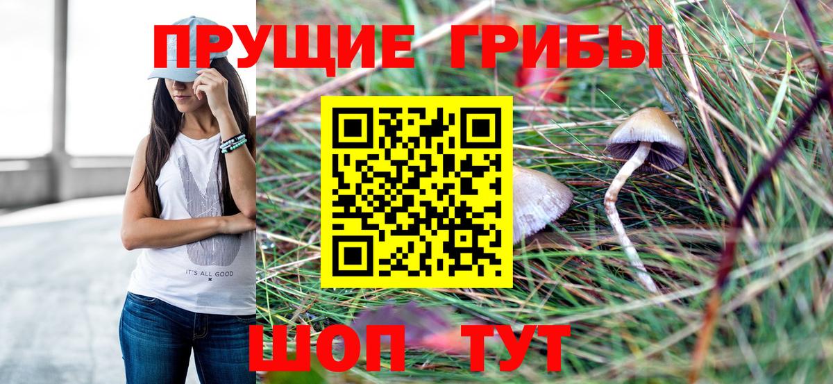 Псилоцибиновые грибы ЛСД Похвистнево