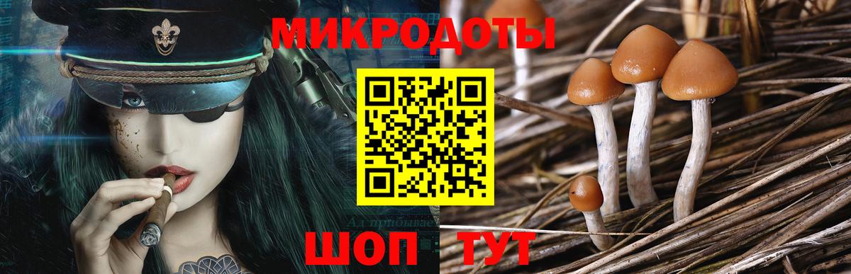 Похвистнево  наркотики  Вход с VPN  Псилоцибиновые грибы GOLDEN TEACHER 